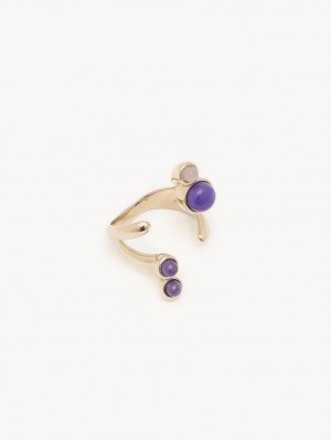 MULTICOLOR 10 Chloe Zodiac Capricorn Rings | CHE-SR14371