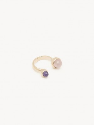 MULTICOLOR 10 Chloe Zodiac Capricorn Rings | CHE-SR14389