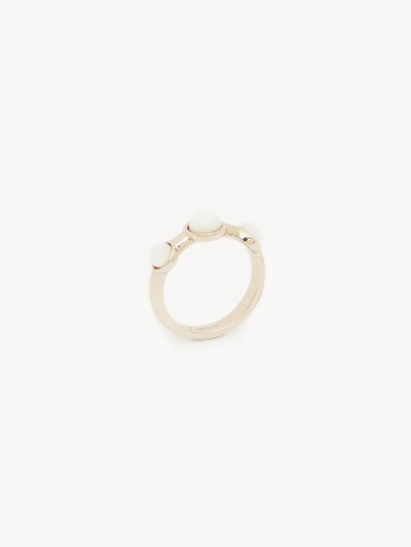 GOLD COLOR Chloe Darcey Rings | CHE-SR14412