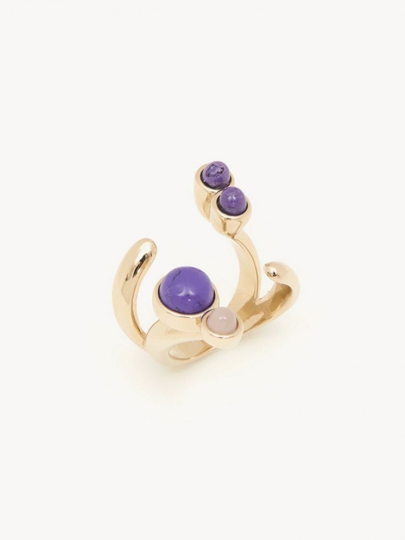 MULTICOLOR 10 Chloe Zodiac Capricorn Rings | CHE-SR14371
